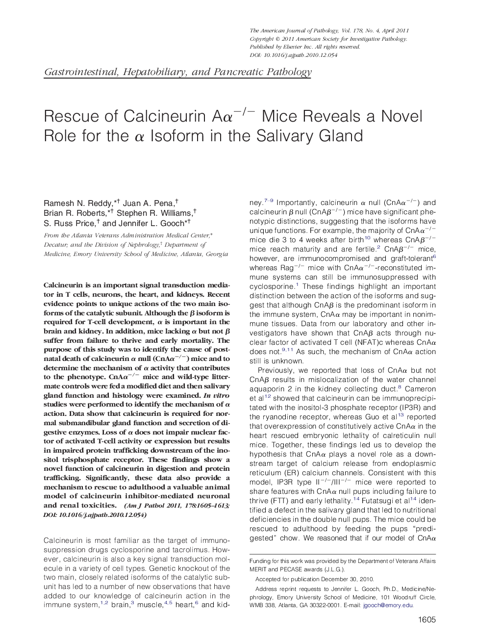 Rescue of Calcineurin AÎ±â/â Mice Reveals a Novel Role for the Î± Isoform in the Salivary Gland