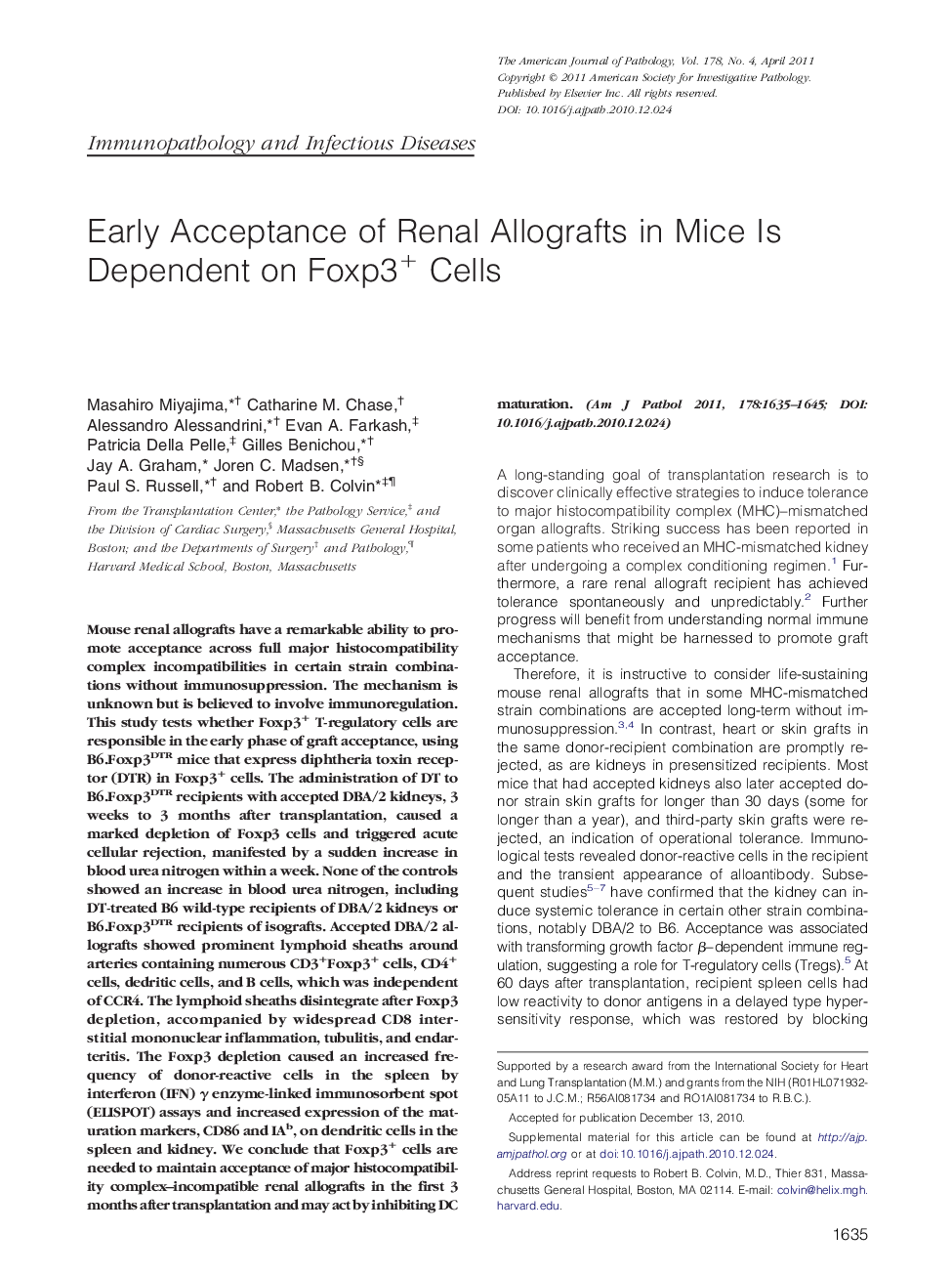 Regular articleImmunopathology and infectious diseaseEarly Acceptance of Renal Allografts in Mice Is Dependent on Foxp3+ Cells