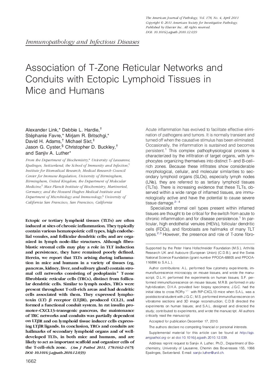 Association of T-Zone Reticular Networks and Conduits with Ectopic Lymphoid Tissues in Mice and Humans