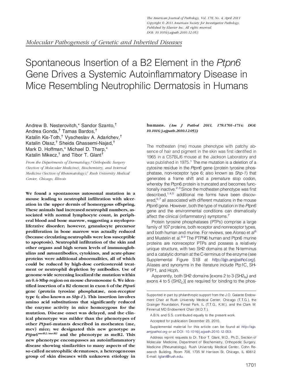 Spontaneous Insertion of a B2 Element in the Ptpn6 Gene Drives a Systemic Autoinflammatory Disease in Mice Resembling Neutrophilic Dermatosis in Humans