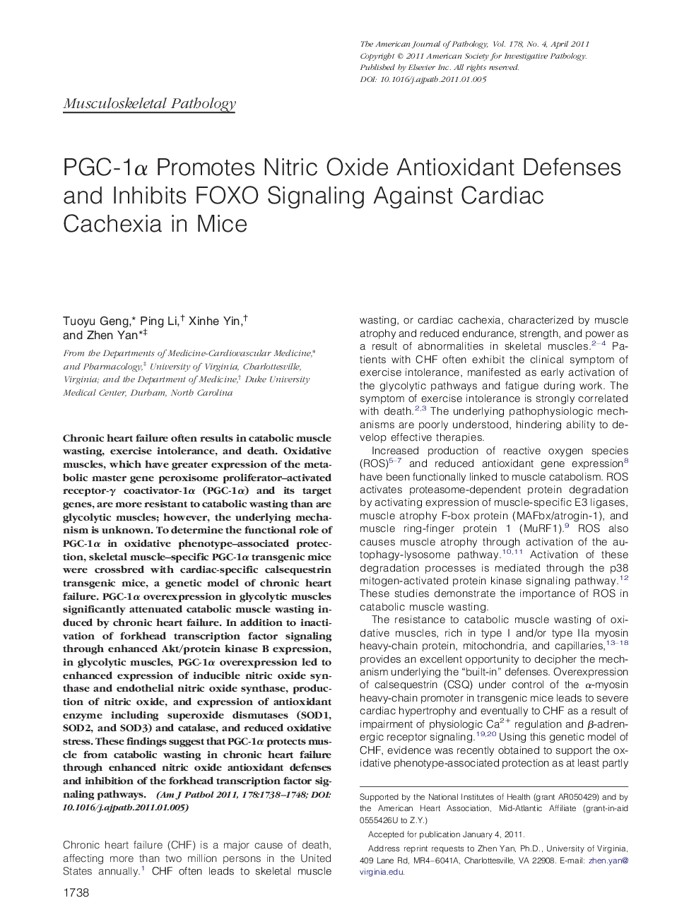 PGC-1Î± Promotes Nitric Oxide Antioxidant Defenses and Inhibits FOXO Signaling Against Cardiac Cachexia in Mice