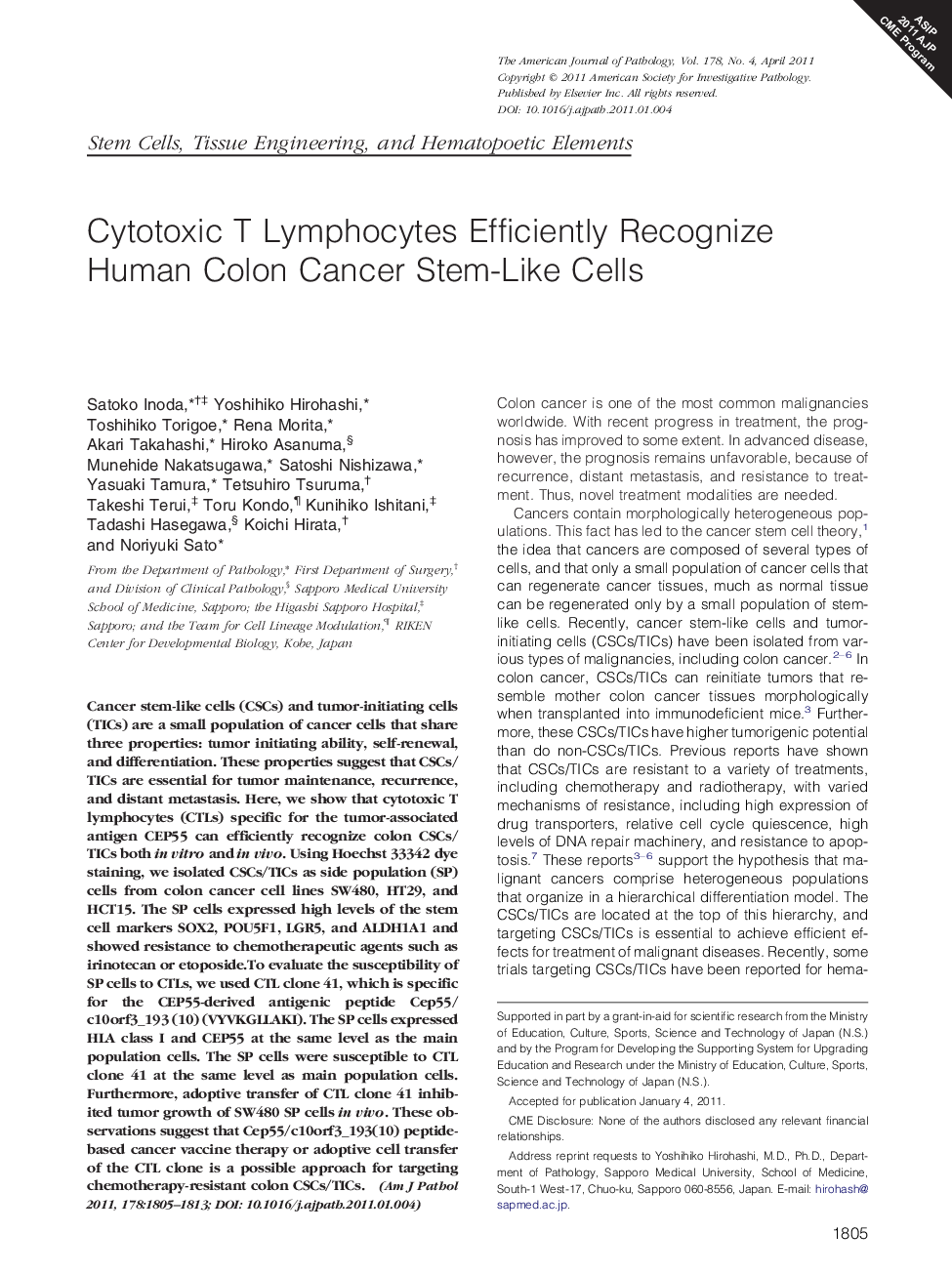 Regular articleStem cells, tissue engineering, and hematopoietic elementsCytotoxic T Lymphocytes Efficiently Recognize Human Colon Cancer Stem-Like Cells