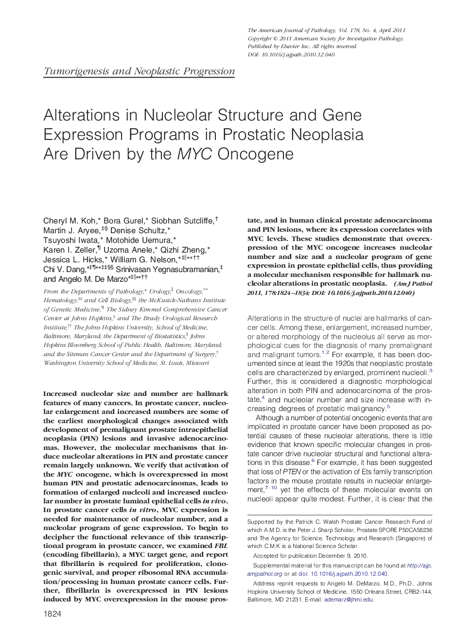 Alterations in Nucleolar Structure and Gene Expression Programs in Prostatic Neoplasia Are Driven by the MYC Oncogene