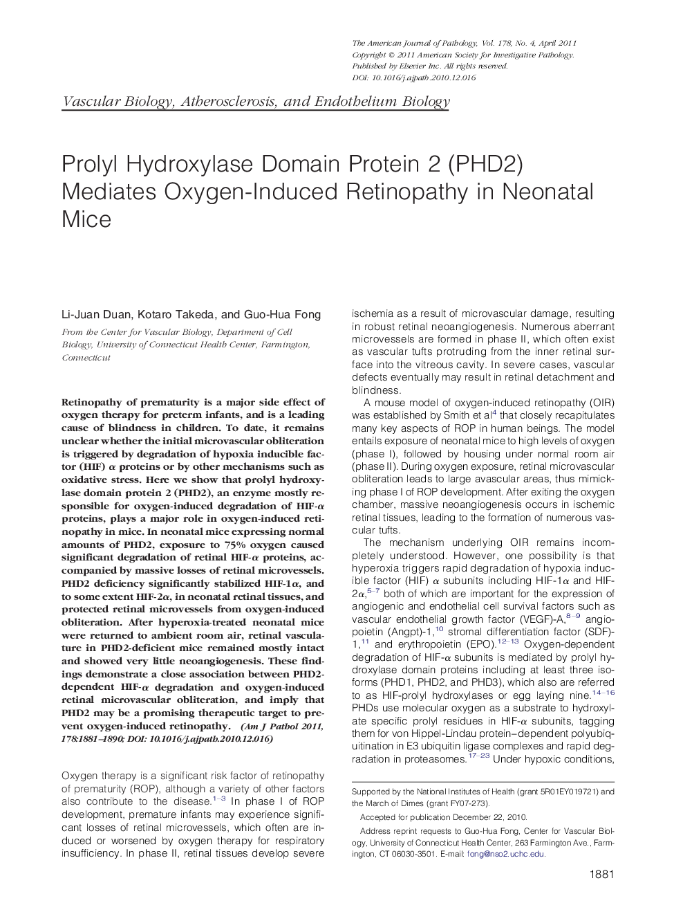 Regular articleVascular biology, atherosclerosis, and endothelium biologyProlyl Hydroxylase Domain Protein 2 (PHD2) Mediates Oxygen-Induced Retinopathy in Neonatal Mice