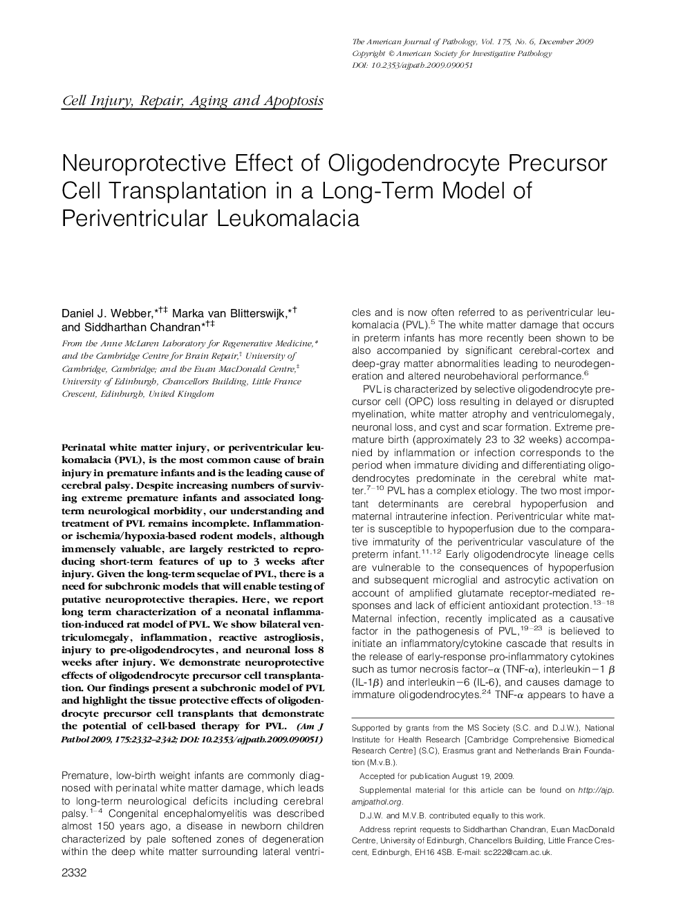 Neuroprotective Effect of Oligodendrocyte Precursor Cell Transplantation in a Long-Term Model of Periventricular Leukomalacia
