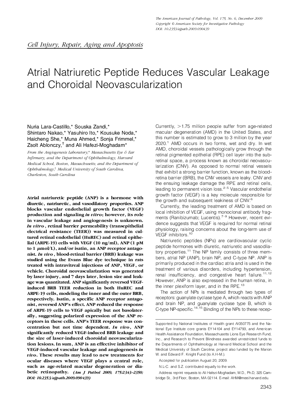 Atrial Natriuretic Peptide Reduces Vascular Leakage and Choroidal Neovascularization