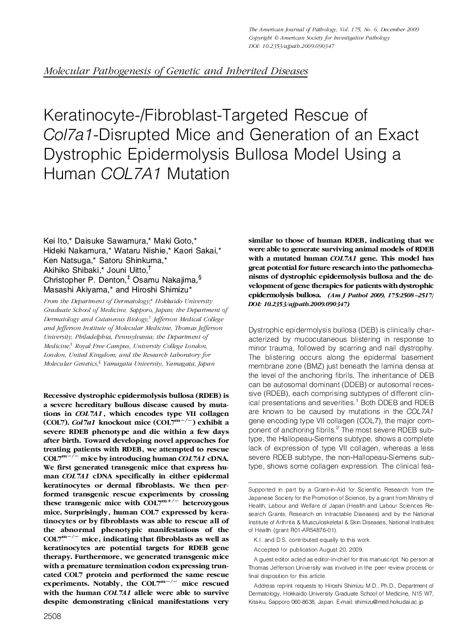 Keratinocyte-/Fibroblast-Targeted Rescue of Col7a1-Disrupted Mice and Generation of an Exact Dystrophic Epidermolysis Bullosa Model Using a Human COL7A1 Mutation