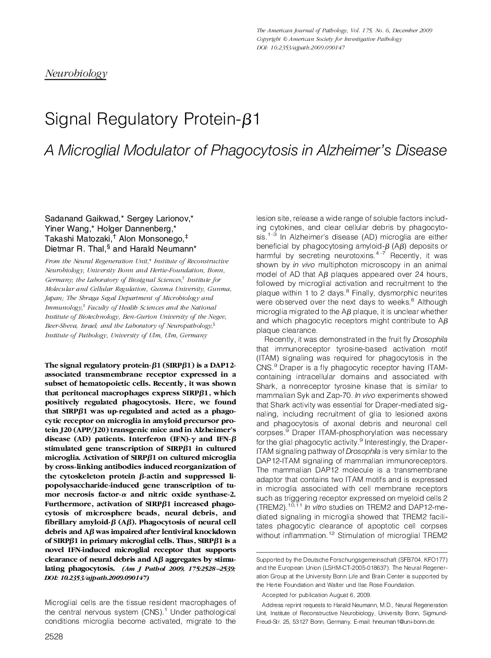 Signal Regulatory Protein-Î²1