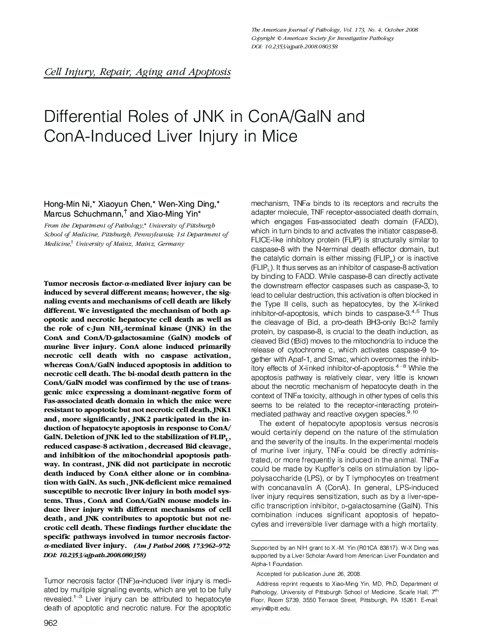 Regular ArticlesDifferential Roles of JNK in ConA/GalN and ConA-Induced Liver Injury in Mice