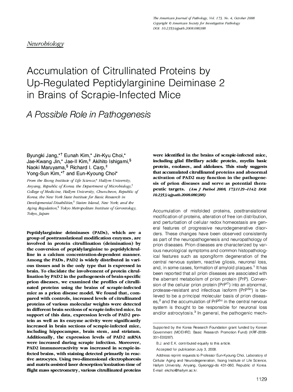 Regular ArticlesAccumulation of Citrullinated Proteins by Up-Regulated Peptidylarginine Deiminase 2 in Brains of Scrapie-Infected Mice: A Possible Role in Pathogenesis