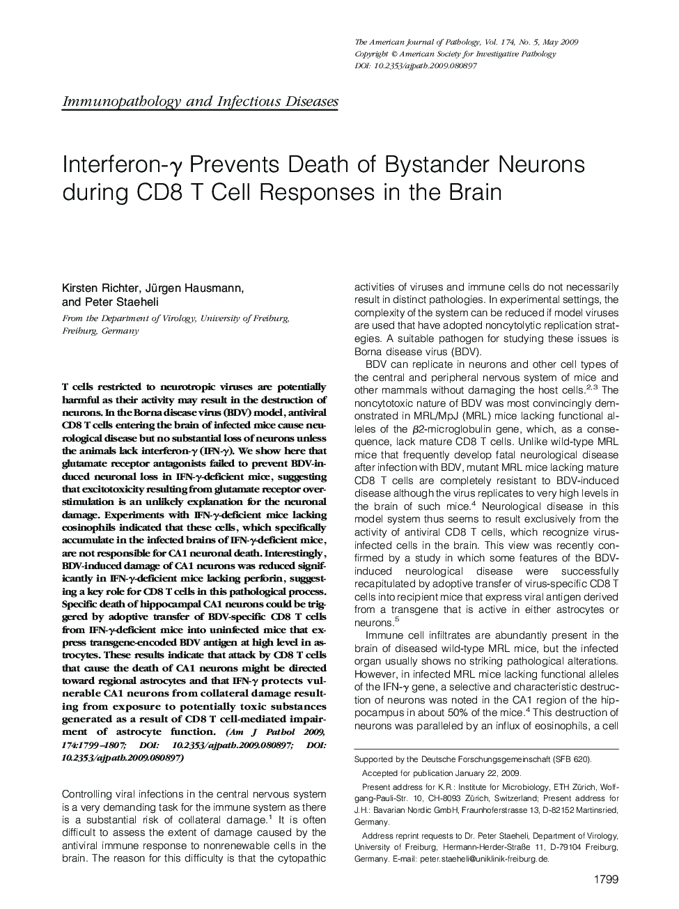 Interferon-Î³ Prevents Death of Bystander Neurons during CD8 T Cell Responses in the Brain