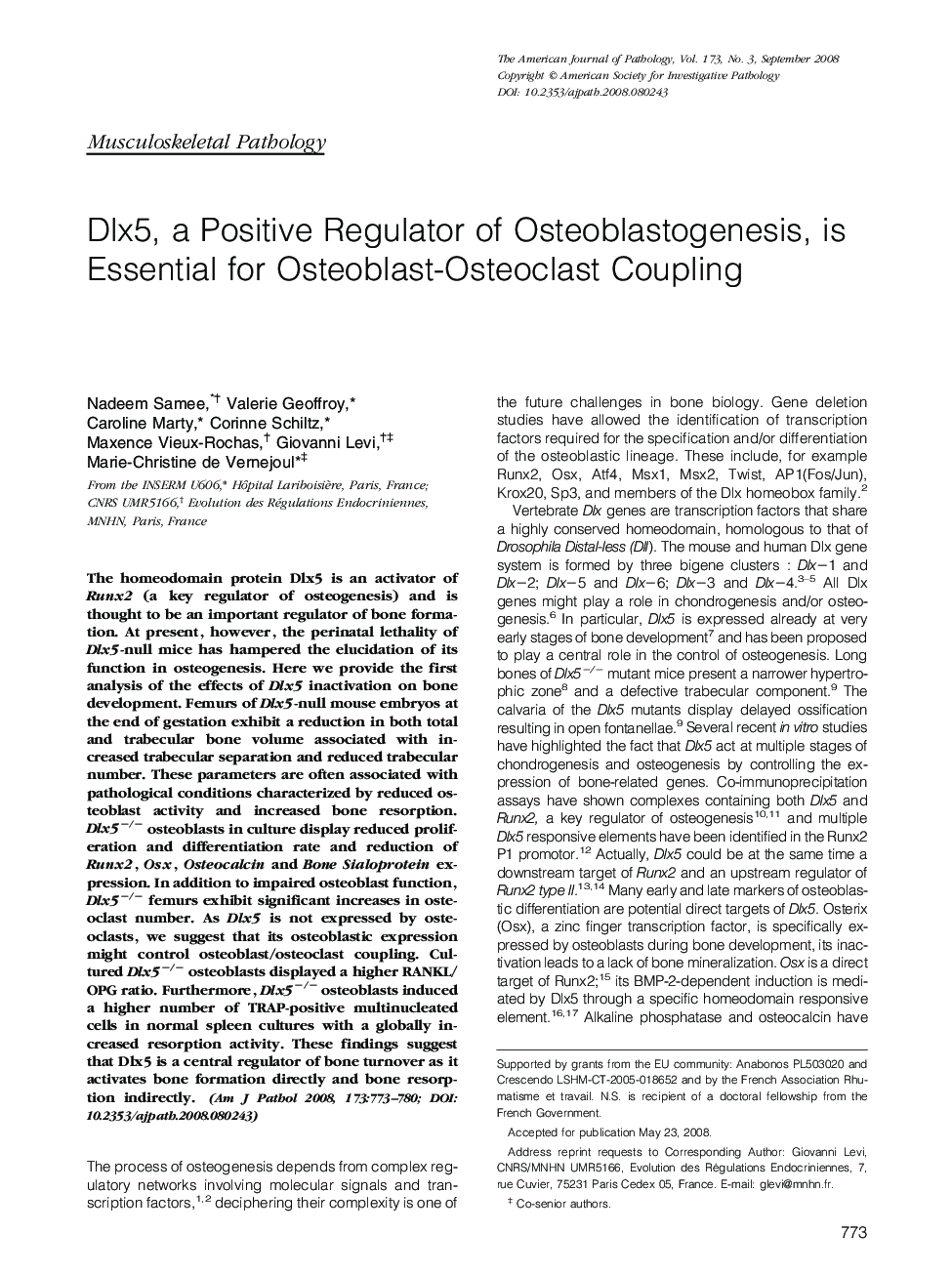 Dlx5, a Positive Regulator of Osteoblastogenesis, is Essential for Osteoblast-Osteoclast Coupling