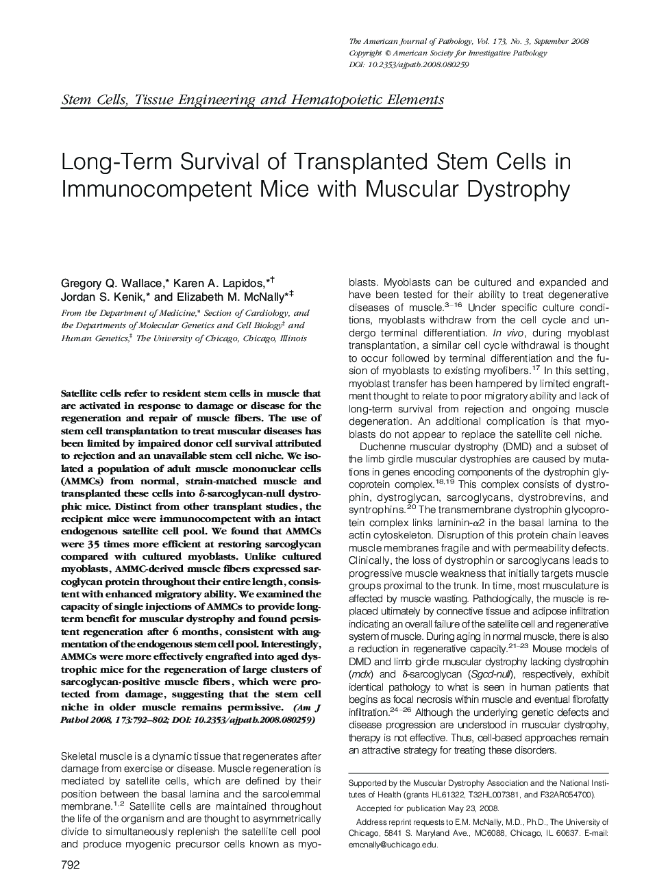 Regular ArticlesLong-Term Survival of Transplanted Stem Cells in Immunocompetent Mice with Muscular Dystrophy