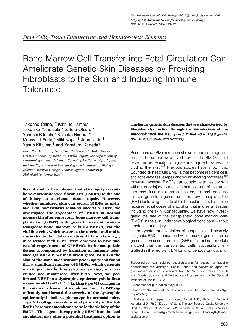 Bone Marrow Cell Transfer into Fetal Circulation Can Ameliorate Genetic Skin Diseases by Providing Fibroblasts to the Skin and Inducing Immune Tolerance