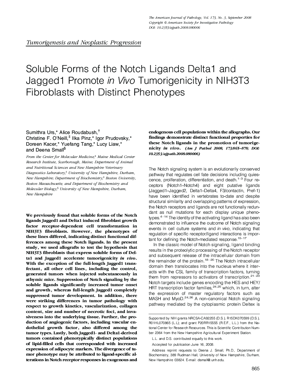 Regular ArticlesSoluble Forms of the Notch Ligands Delta1 and Jagged1 Promote in Vivo Tumorigenicity in NIH3T3 Fibroblasts with Distinct Phenotypes
