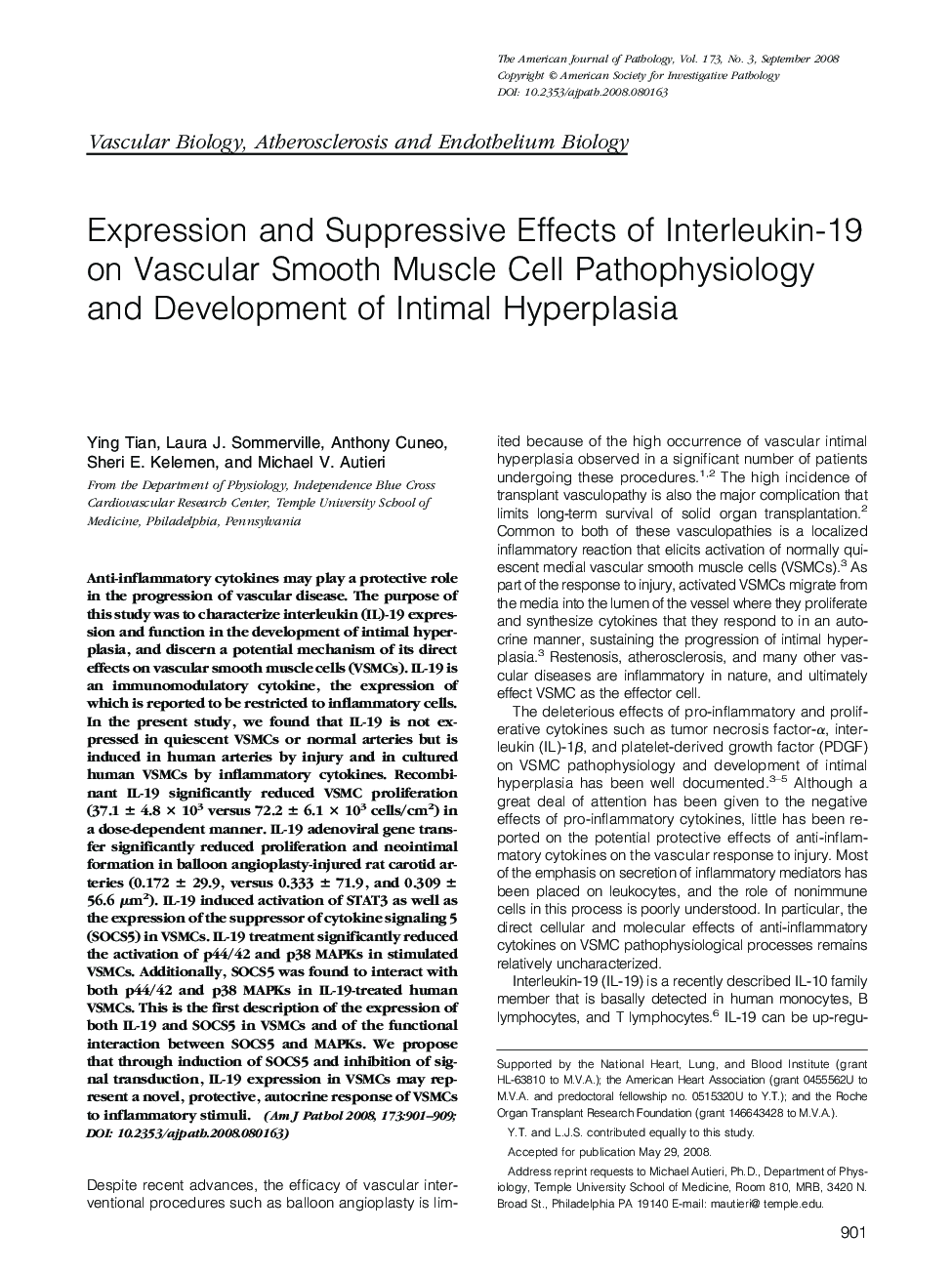 Expression and Suppressive Effects of Interleukin-19 on Vascular Smooth Muscle Cell Pathophysiology and Development of Intimal Hyperplasia