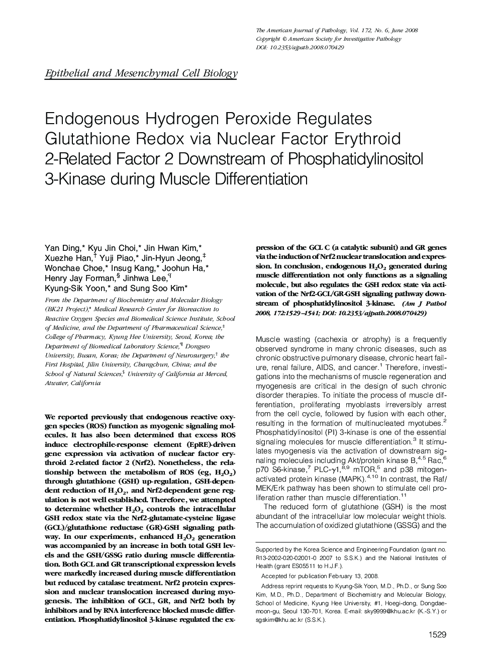 Regular ArticlesEndogenous Hydrogen Peroxide Regulates Glutathione Redox via Nuclear Factor Erythroid 2-Related Factor 2 Downstream of Phosphatidylinositol 3-Kinase during Muscle Differentiation