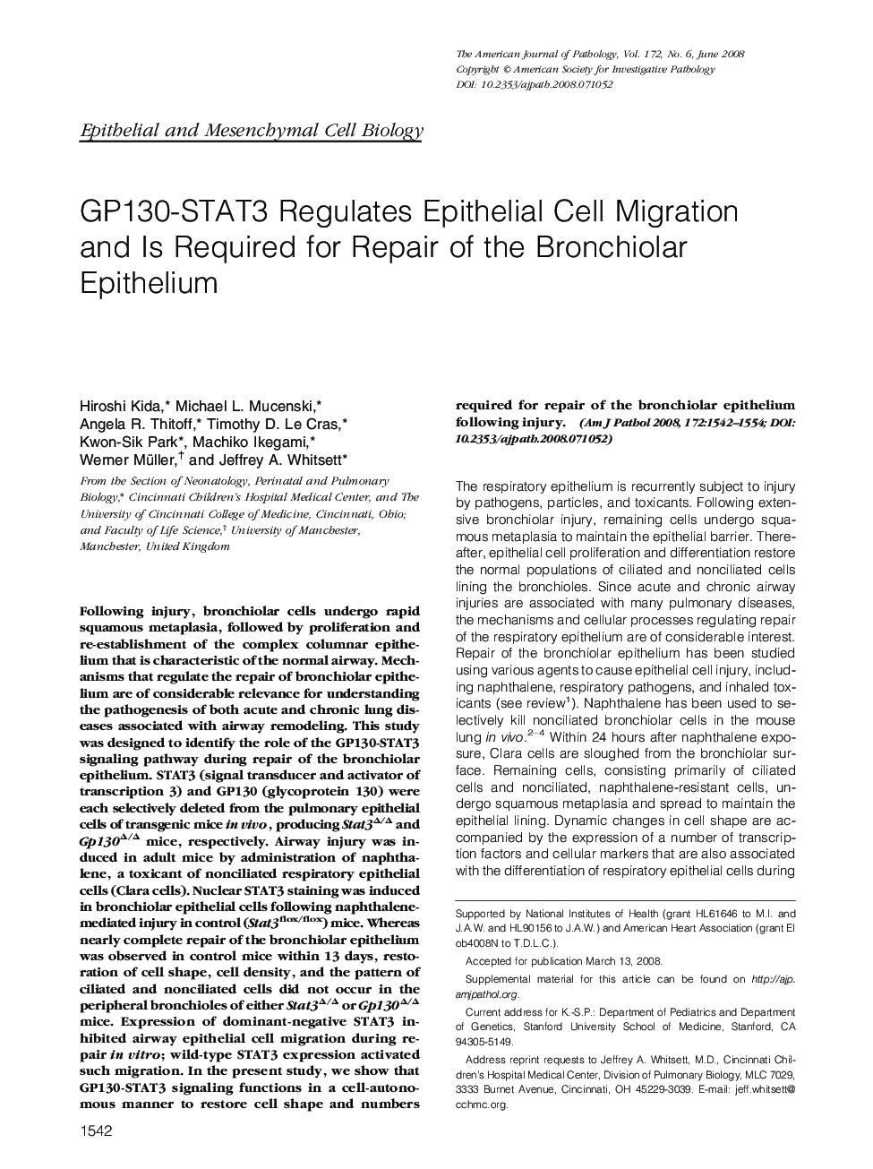 GP130-STAT3 Regulates Epithelial Cell Migration and Is Required for Repair of the Bronchiolar Epithelium