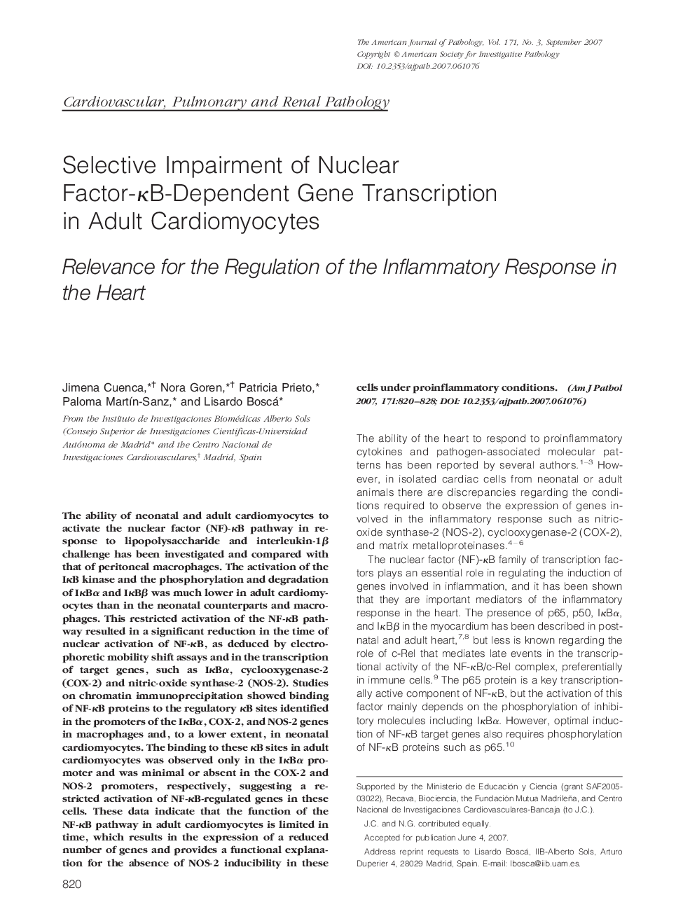 Selective Impairment of Nuclear Factor-ÎºB-Dependent Gene Transcription in Adult Cardiomyocytes