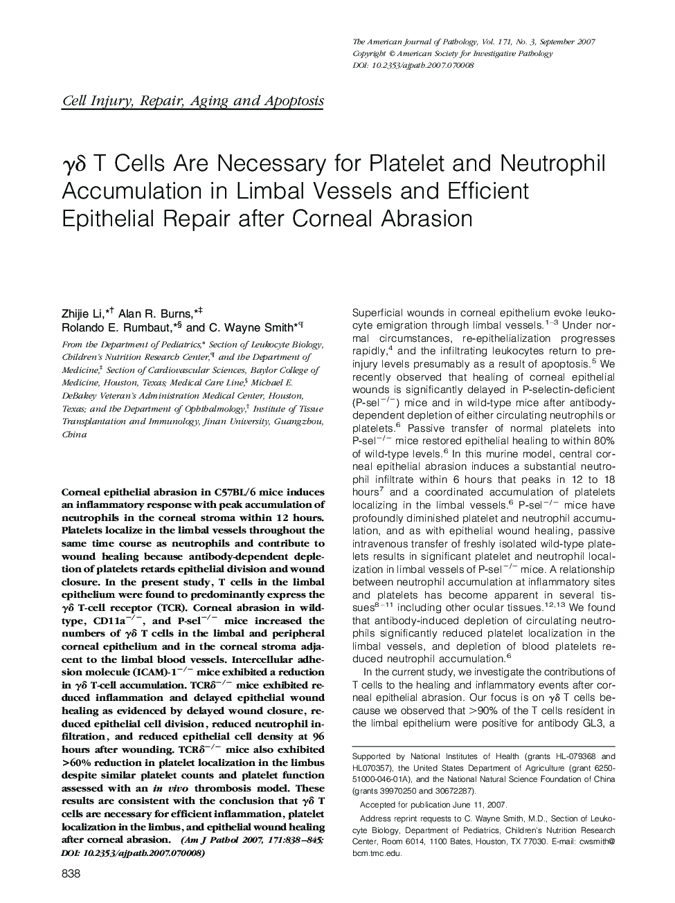 Î³Î´ T Cells Are Necessary for Platelet and Neutrophil Accumulation in Limbal Vessels and Efficient Epithelial Repair after Corneal Abrasion