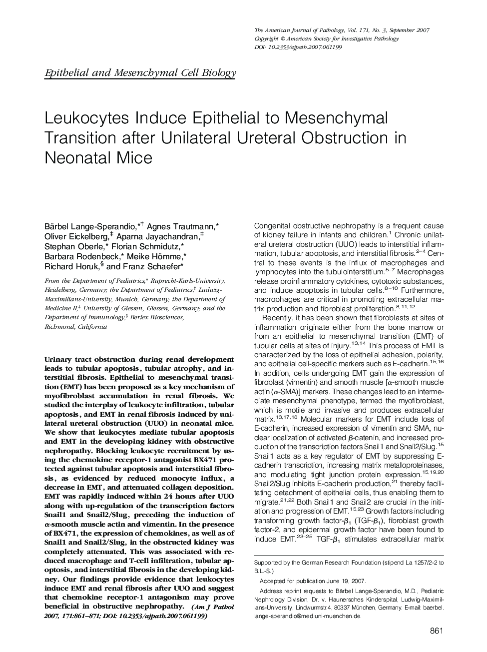 Regular ArticlesLeukocytes Induce Epithelial to Mesenchymal Transition after Unilateral Ureteral Obstruction in Neonatal Mice