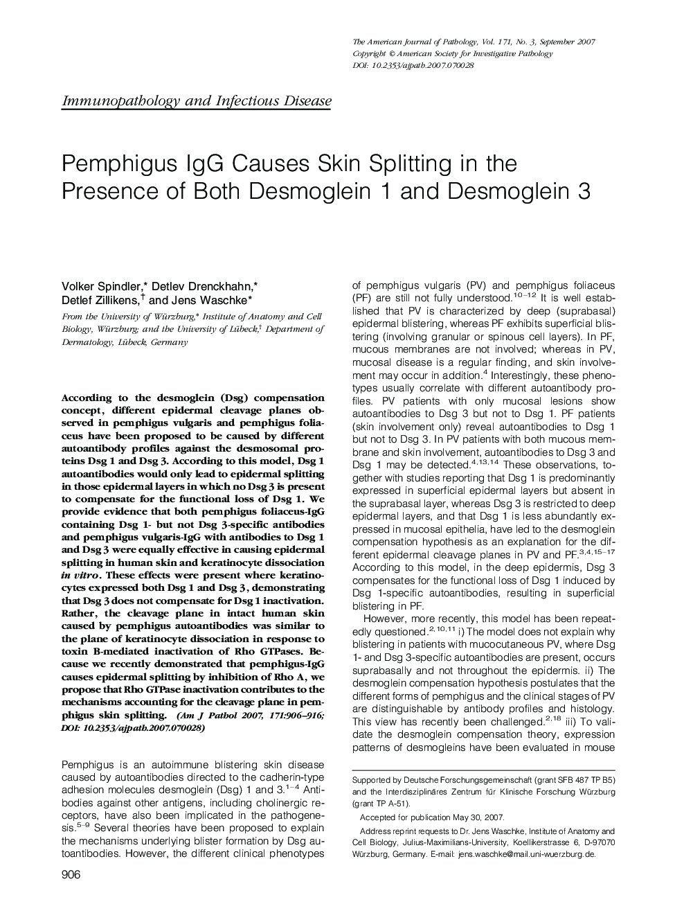 Pemphigus IgG Causes Skin Splitting in the Presence of Both Desmoglein 1 and Desmoglein 3