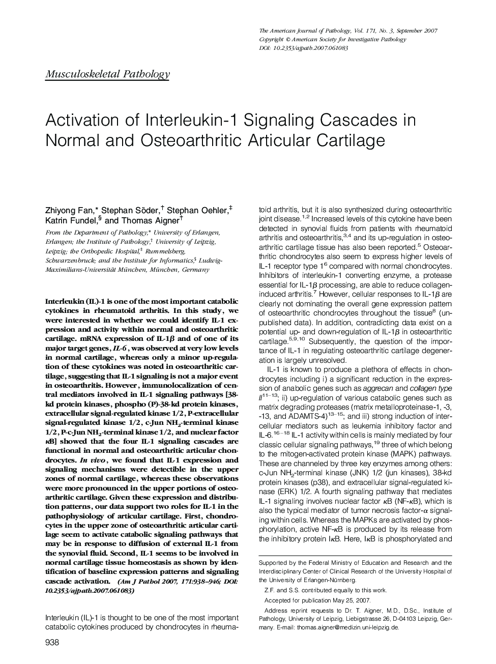 Activation of Interleukin-1 Signaling Cascades in Normal and Osteoarthritic Articular Cartilage