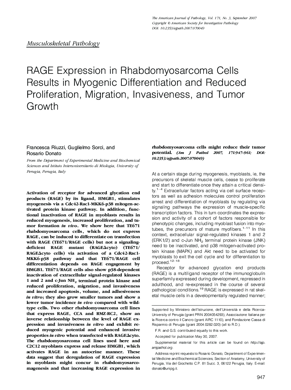 RAGE Expression in Rhabdomyosarcoma Cells Results in Myogenic Differentiation and Reduced Proliferation, Migration, Invasiveness, and Tumor Growth
