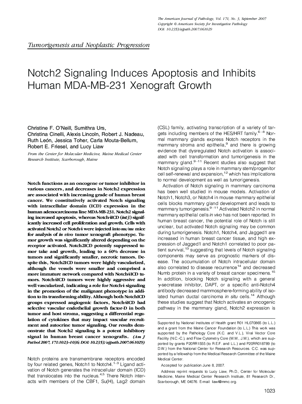 Notch2 Signaling Induces Apoptosis and Inhibits Human MDA-MB-231 Xenograft Growth