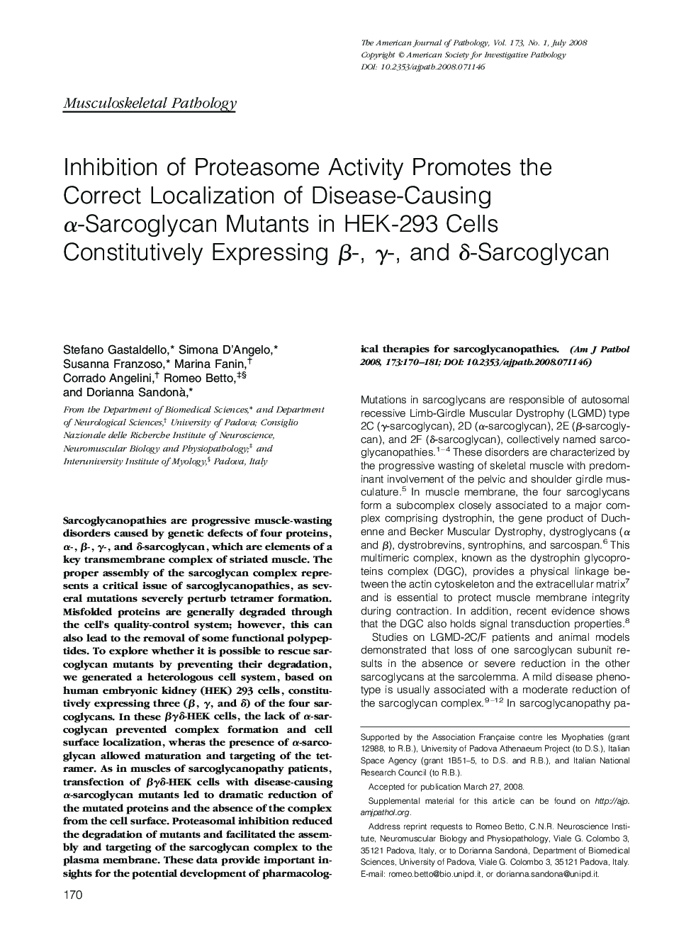 Inhibition of Proteasome Activity Promotes the Correct Localization of Disease-Causing Î±-Sarcoglycan Mutants in HEK-293 Cells Constitutively Expressing Î²-, Î³-, and Î´-Sarcoglycan