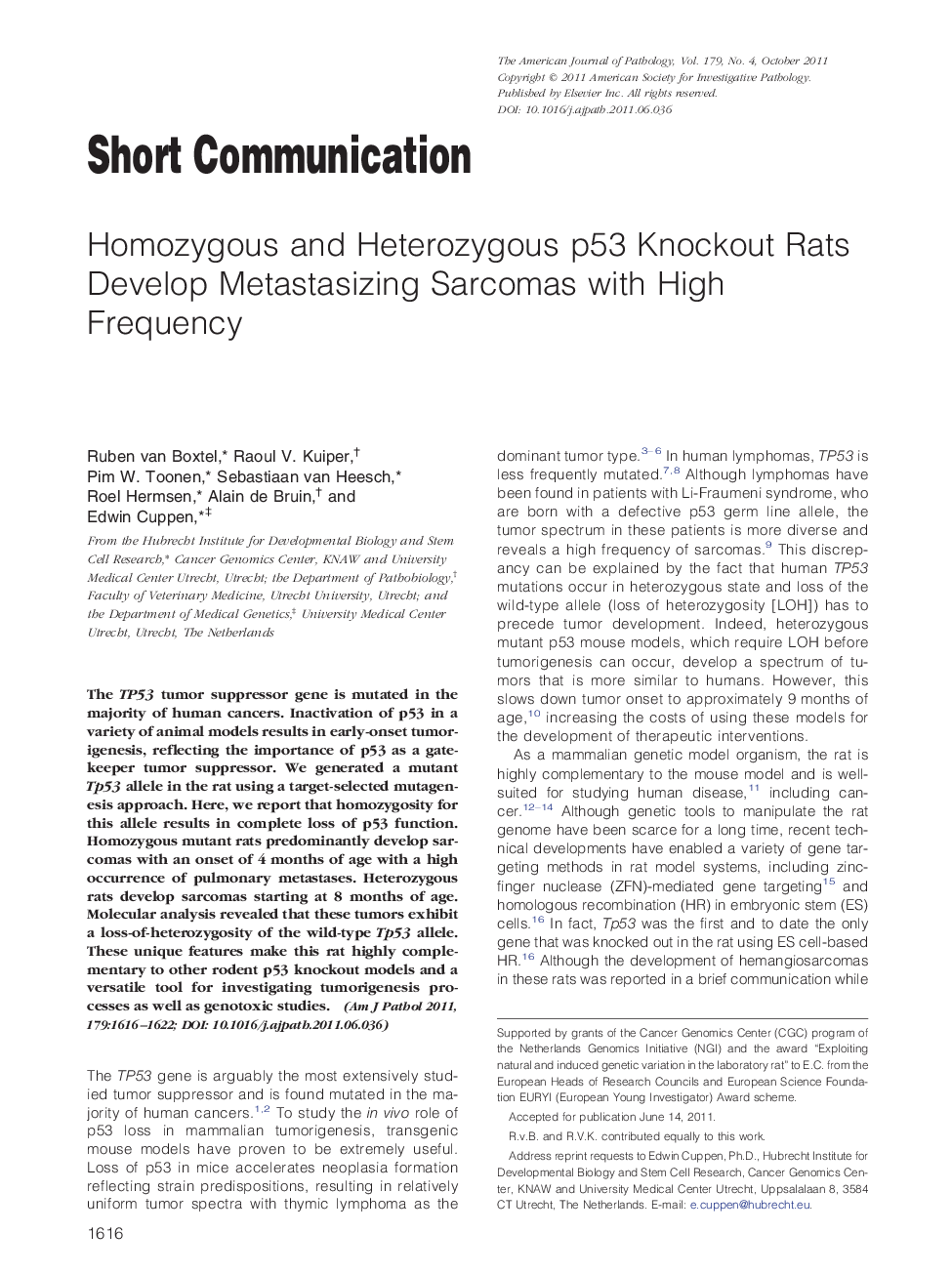 Homozygous and Heterozygous p53 Knockout Rats Develop Metastasizing Sarcomas with High Frequency
