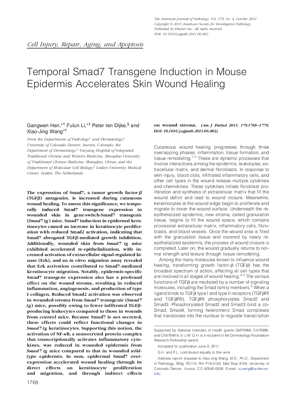 Temporal Smad7 Transgene Induction in Mouse Epidermis Accelerates Skin Wound Healing