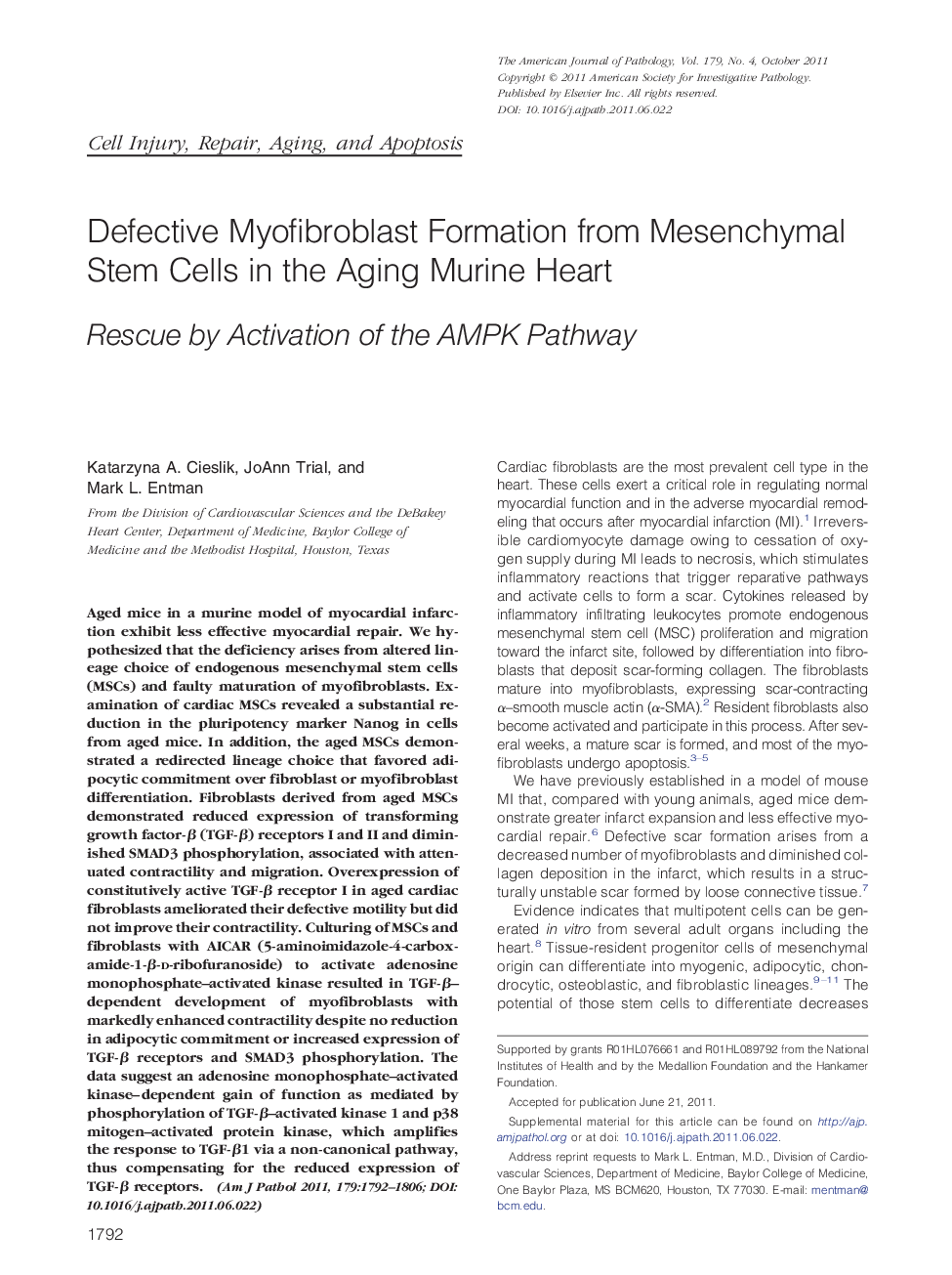 Defective Myofibroblast Formation from Mesenchymal Stem Cells in the Aging Murine Heart: Rescue by Activation of the AMPK Pathway