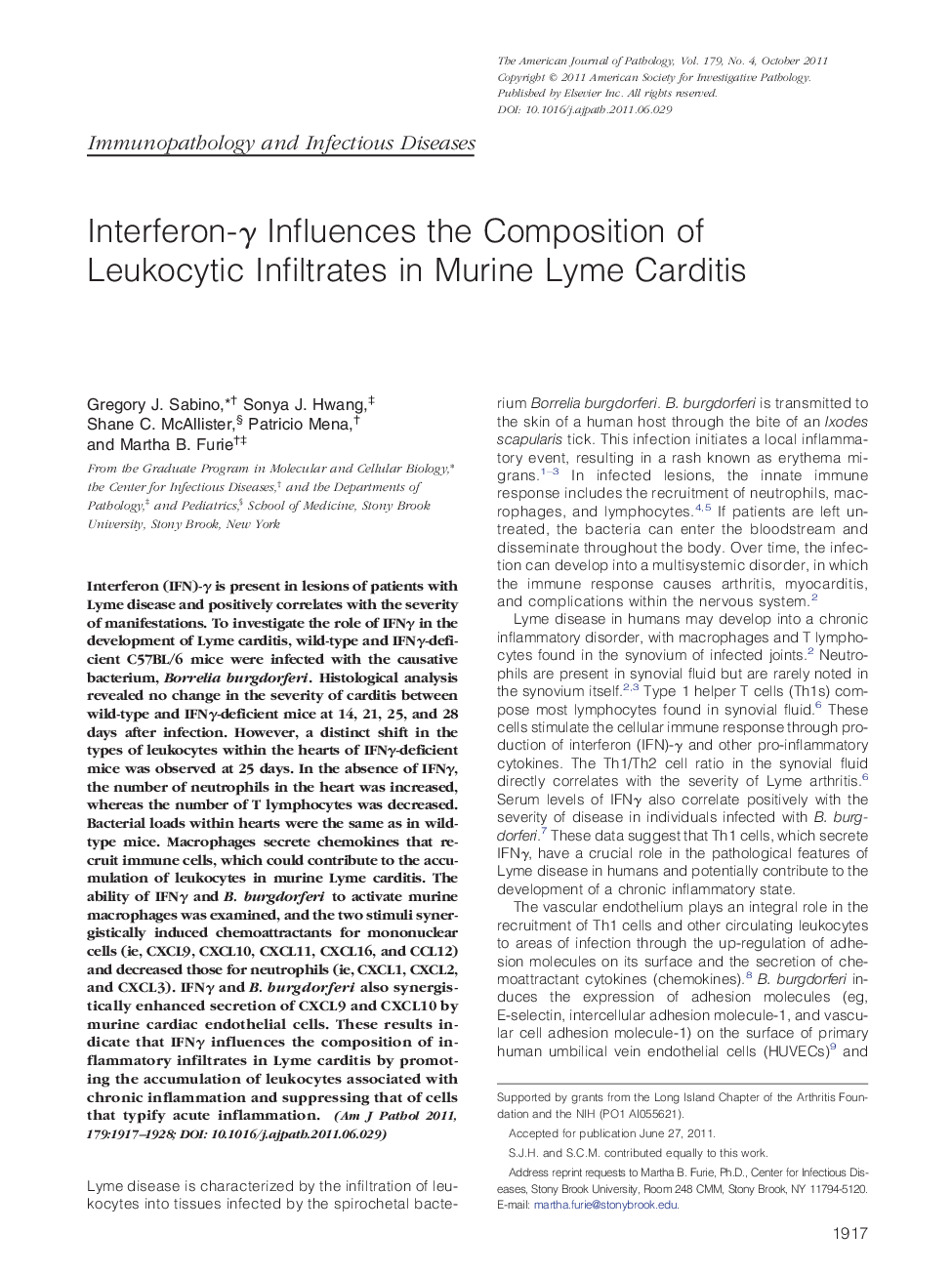 Interferon-Î³ Influences the Composition of Leukocytic Infiltrates in Murine Lyme Carditis