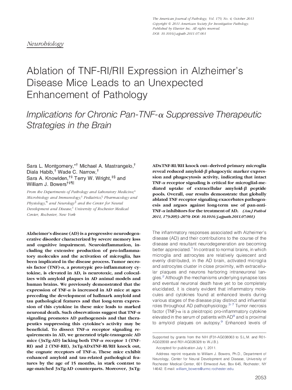 Regular articleNeurobiologyAblation of TNF-RI/RII Expression in Alzheimer's Disease Mice Leads to an Unexpected Enhancement of Pathology: Implications for Chronic Pan-TNF-Î± Suppressive Therapeutic Strategies in the Brain