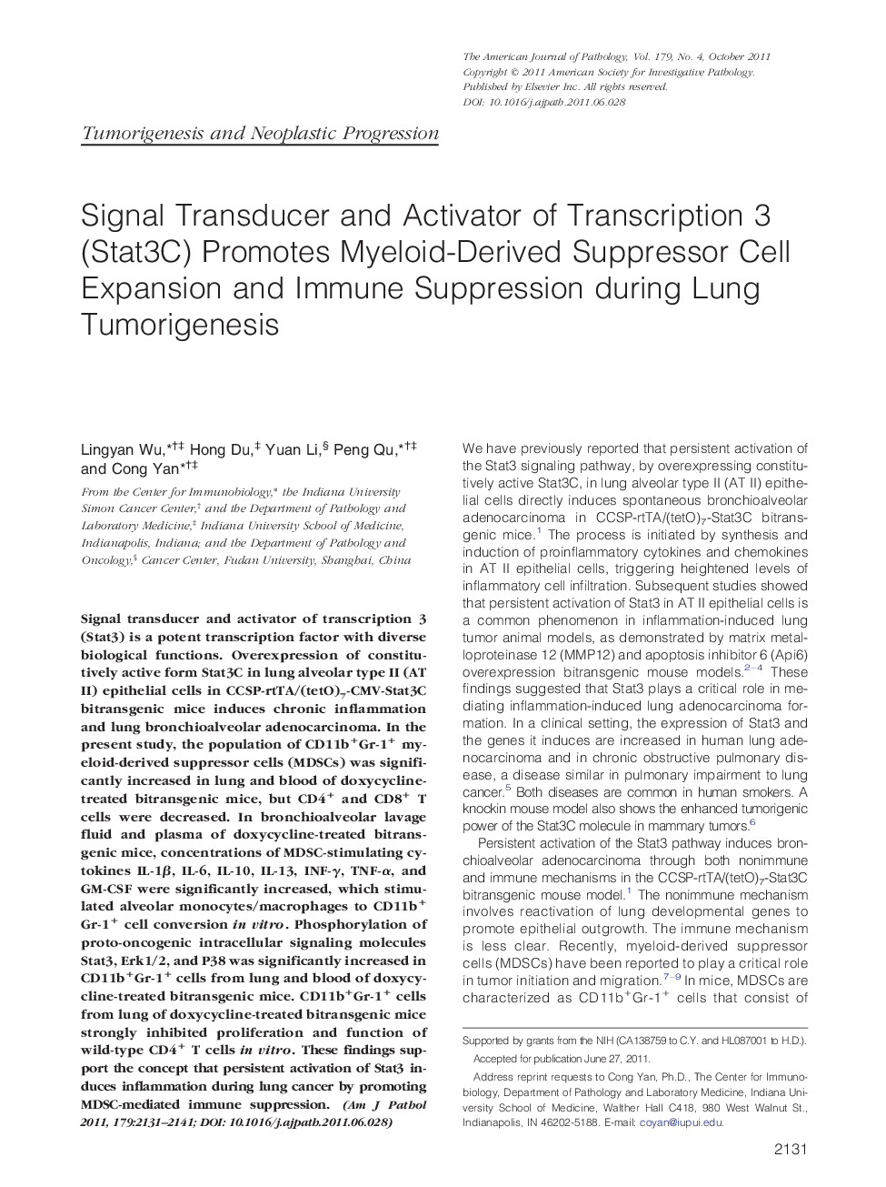 Signal Transducer and Activator of Transcription 3 (Stat3C) Promotes Myeloid-Derived Suppressor Cell Expansion and Immune Suppression during Lung Tumorigenesis