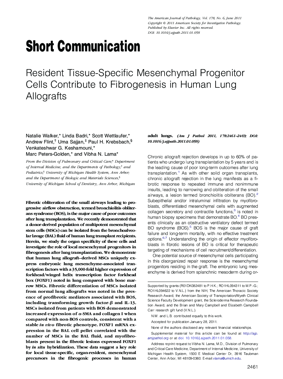 Resident Tissue-Specific Mesenchymal Progenitor Cells Contribute to Fibrogenesis in Human Lung Allografts