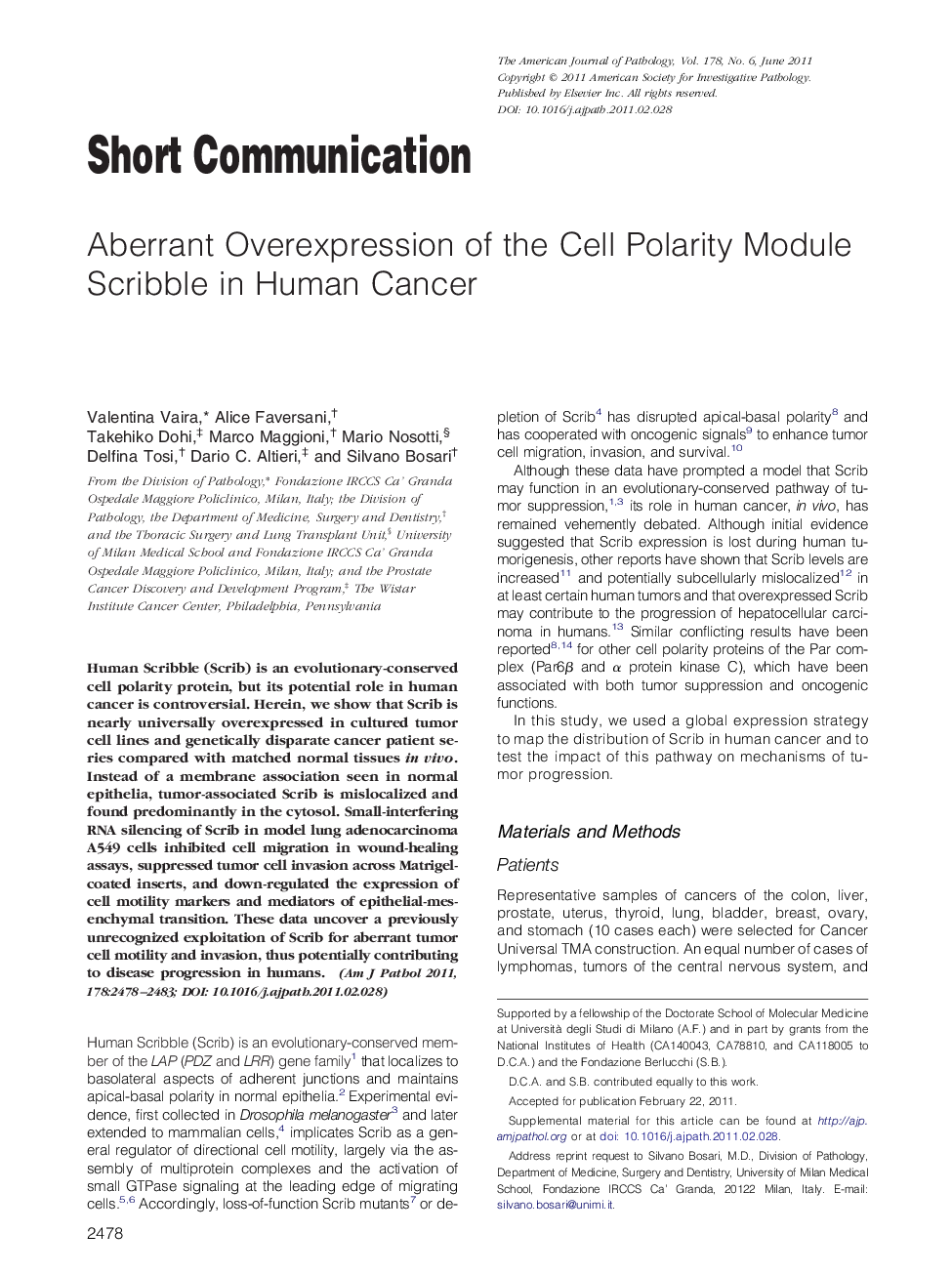 Aberrant Overexpression of the Cell Polarity Module Scribble in Human Cancer