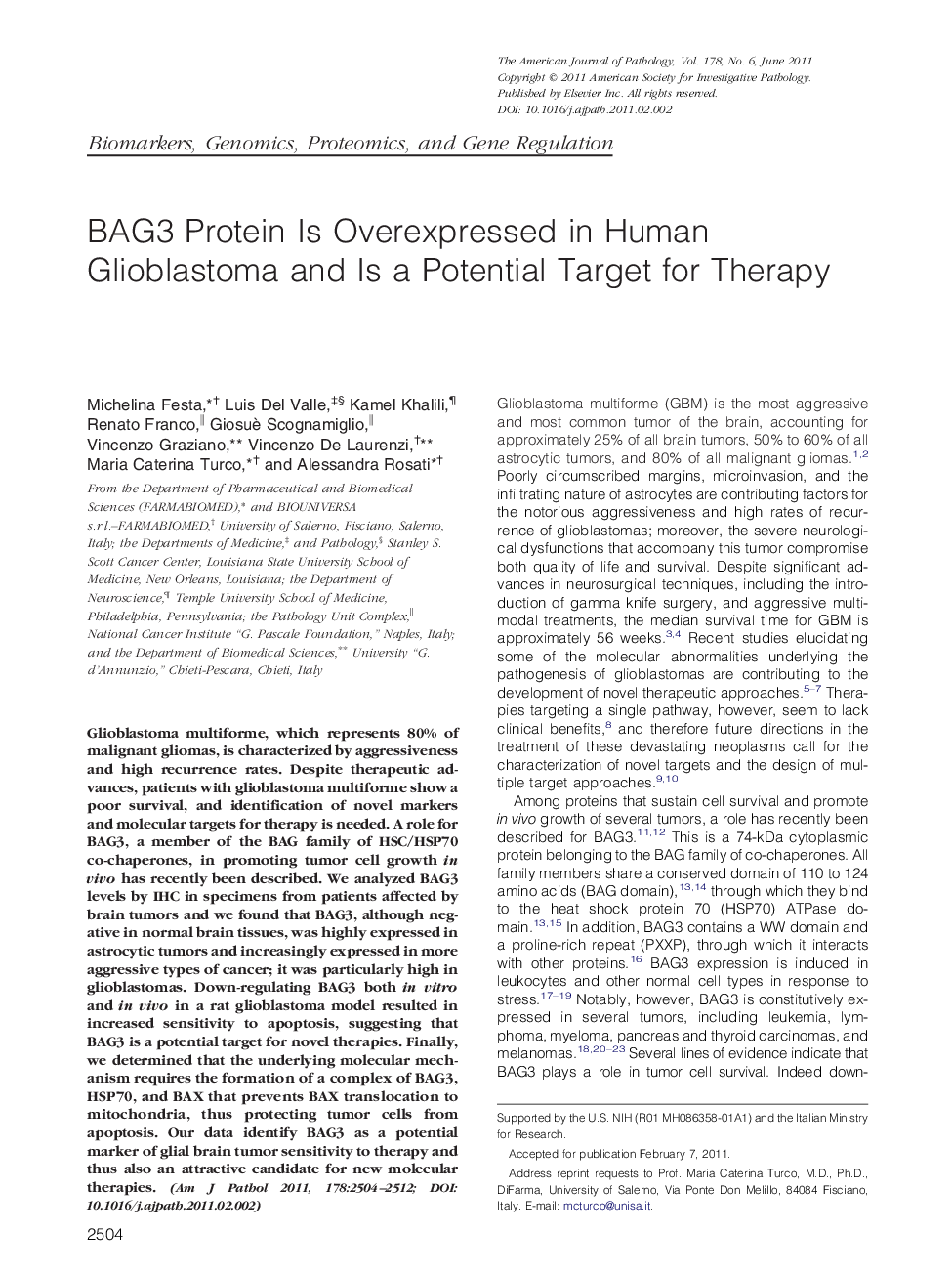 BAG3 Protein Is Overexpressed in Human Glioblastoma and Is a Potential Target for Therapy