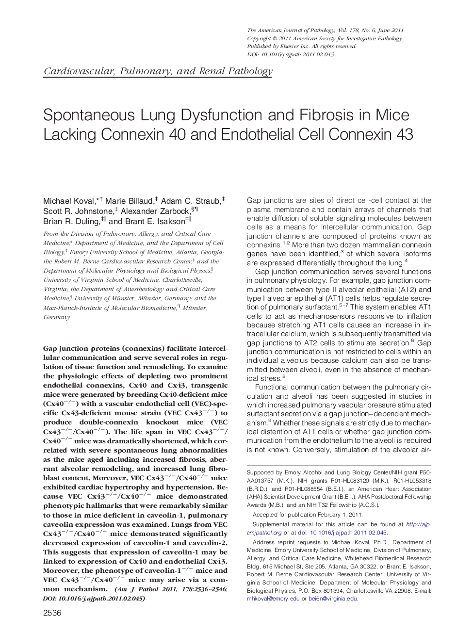 Regular articleCardiovascular, pulmonary, and renal pathologySpontaneous Lung Dysfunction and Fibrosis in Mice Lacking Connexin 40 and Endothelial Cell Connexin 43