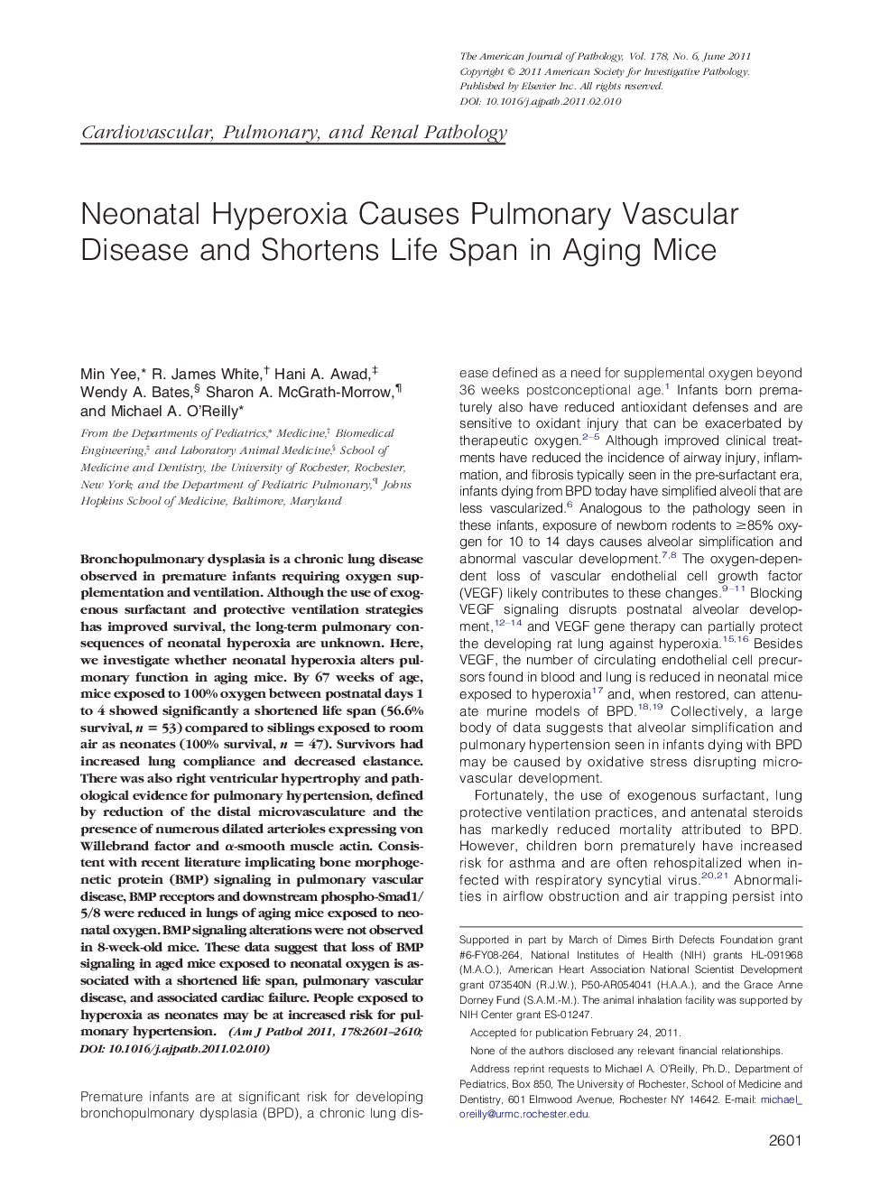 Neonatal Hyperoxia Causes Pulmonary Vascular Disease and Shortens Life Span in Aging Mice