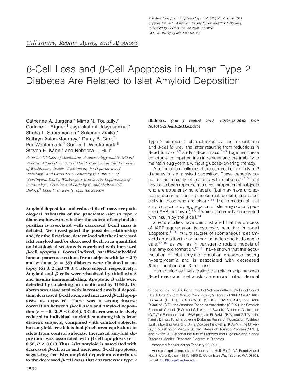 Î²-Cell Loss and Î²-Cell Apoptosis in Human Type 2 Diabetes Are Related to Islet Amyloid Deposition