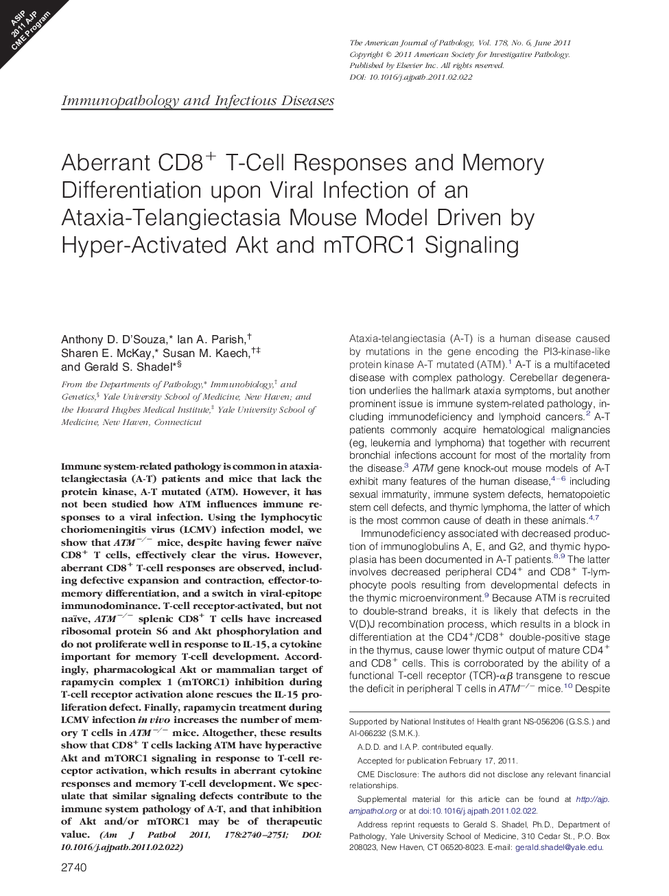 Aberrant CD8+ T-Cell Responses and Memory Differentiation upon Viral Infection of an Ataxia-Telangiectasia Mouse Model Driven by Hyper-Activated Akt and mTORC1 Signaling