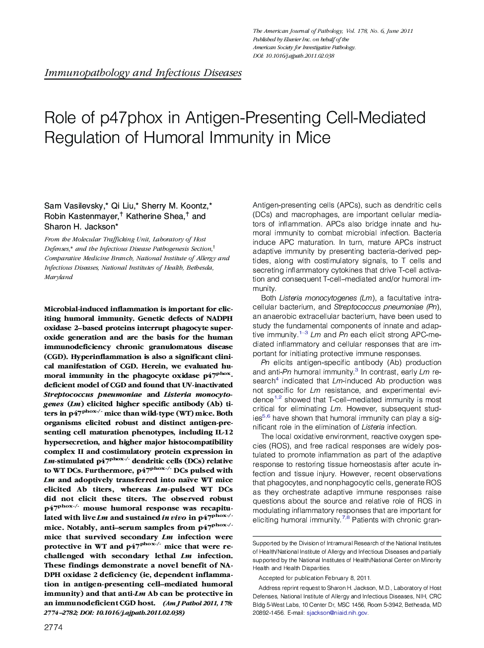 Role of p47phox in Antigen-Presenting Cell-Mediated Regulation of Humoral Immunity in Mice