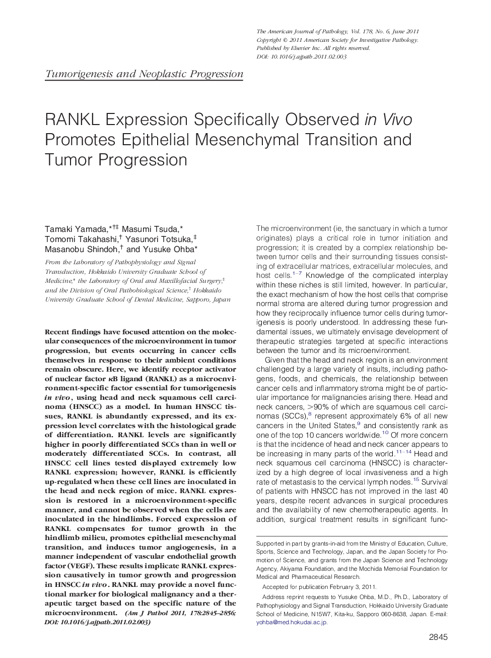 RANKL Expression Specifically Observed in Vivo Promotes Epithelial Mesenchymal Transition and Tumor Progression