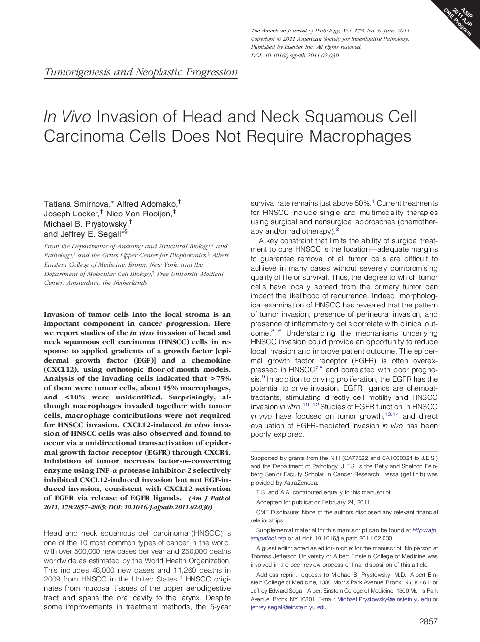 In Vivo Invasion of Head and Neck Squamous Cell Carcinoma Cells Does Not Require Macrophages