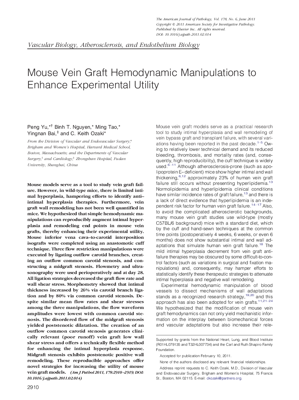 Mouse Vein Graft Hemodynamic Manipulations to Enhance Experimental Utility