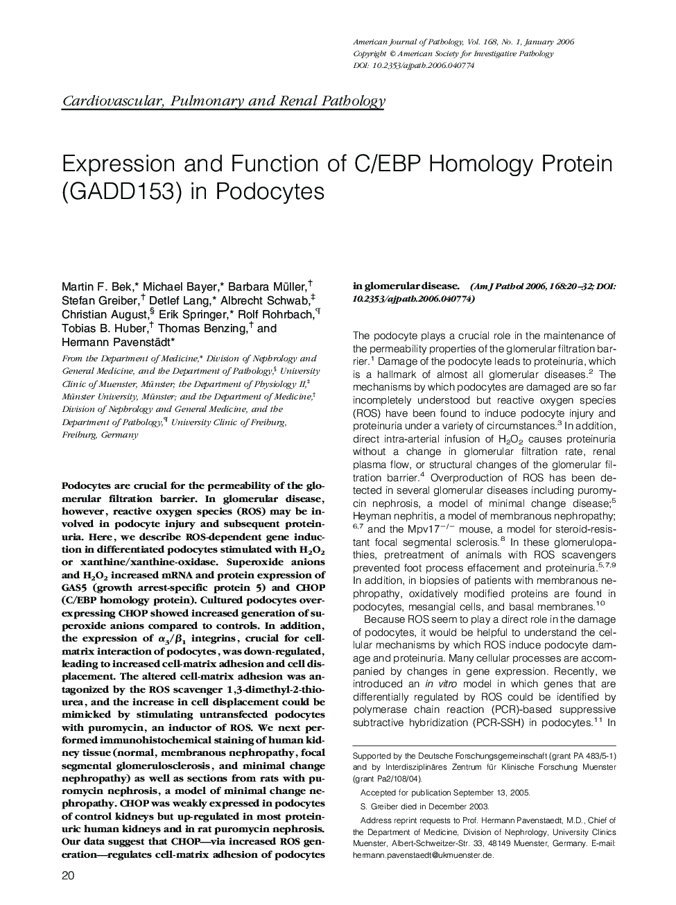 Expression and Function of C/EBP Homology Protein (GADD153) in Podocytes