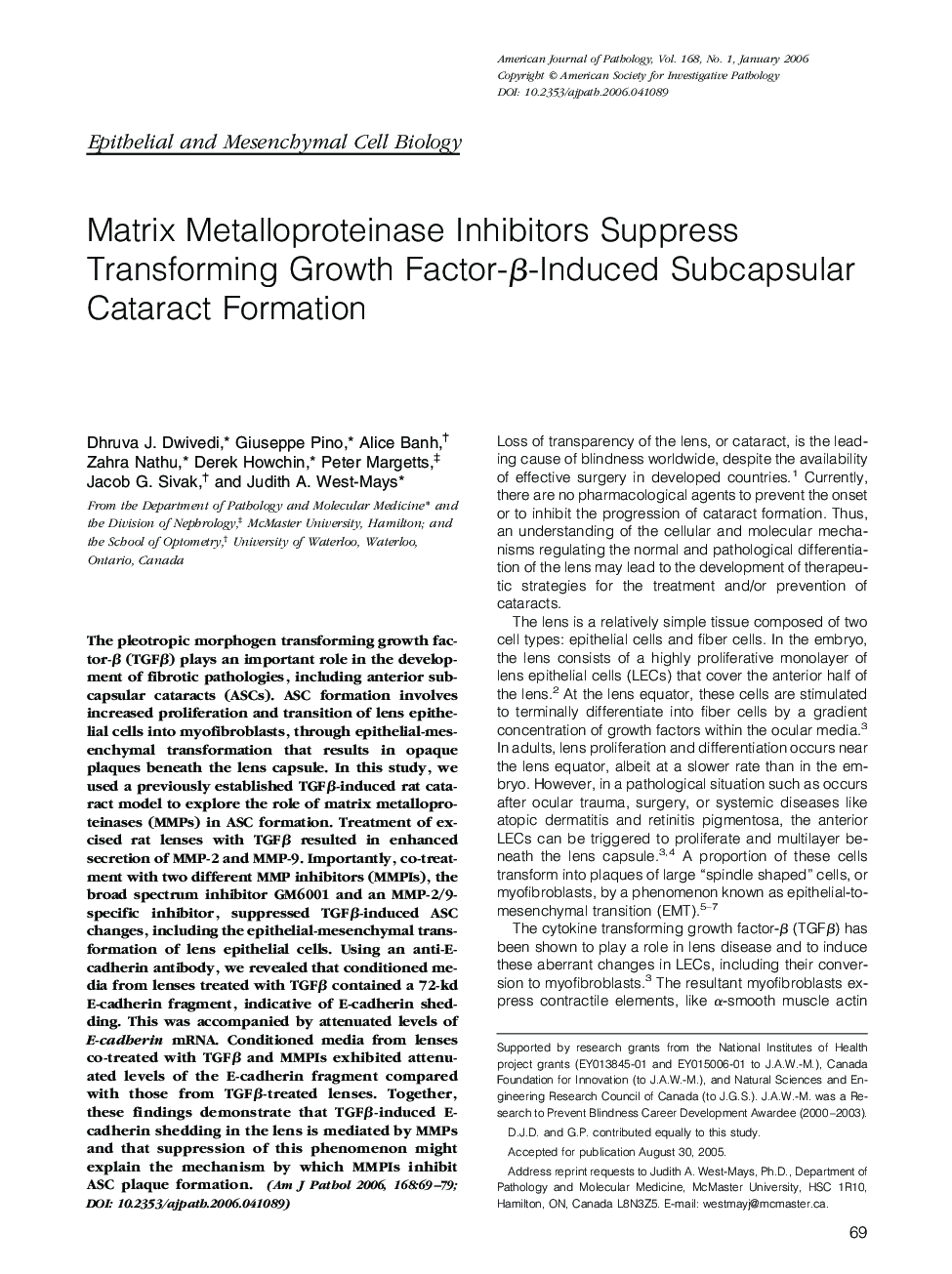 Matrix Metalloproteinase Inhibitors Suppress Transforming Growth Factor-Î²-Induced Subcapsular Cataract Formation
