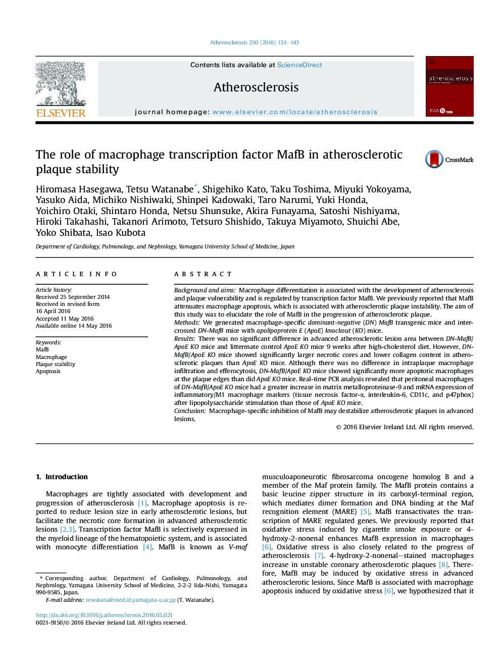 The role of macrophage transcription factor MafB in atherosclerotic plaque stability